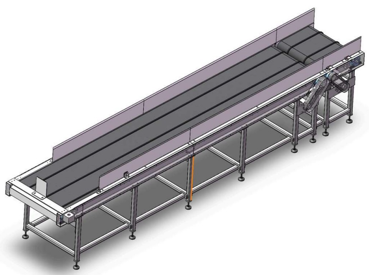 Exit conveyor CAD assembly showing conveying surfaces, side guides and the supporting frame