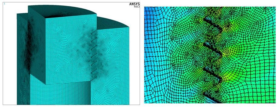 Refined finite element mesh around the critical internal thread root